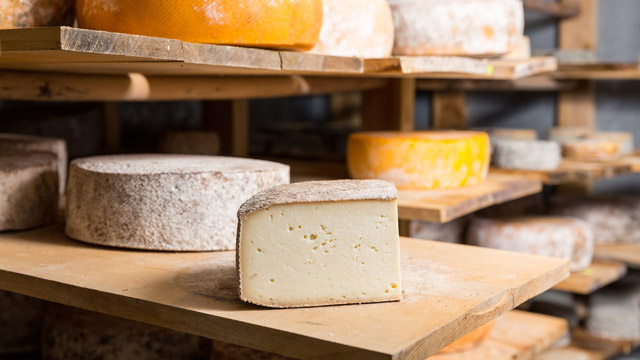 The Science of Cheese: All You Need To Know The Science of Cheese: All You Need To Know