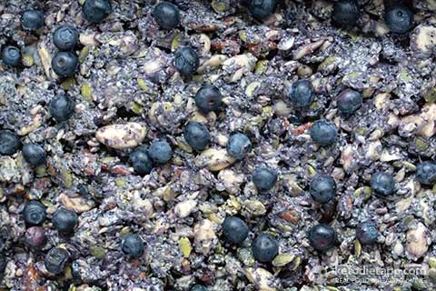 Blueberry Chia Seed Crisp (low-carb, keto, paleo, vegetarian) Low-Carb Blueberry Chia Crisp