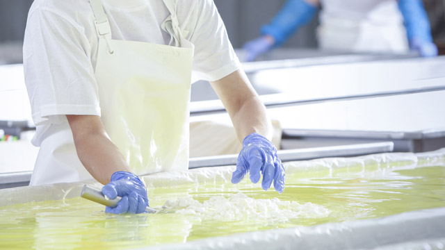 The Science of Cheese: All You Need To Know The Science of Cheese: All You Need To Know