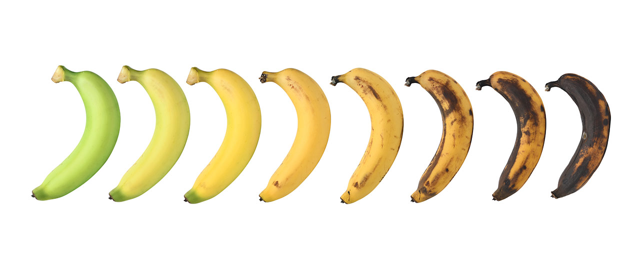 Go Bananas on Keto: Discover the Unthinkable with These Low-Carb Hacks! Go Bananas on Keto: Discover the Unthinkable with These Low-Carb Hacks!
