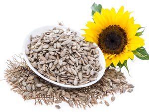 Nuts & Seeds on a Ketogenic Diet: Eat or Avoid?