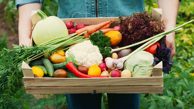 Should I buy Organic Fruits and Vegetables? Your Ultimate Guide Should I Buy Organic Fruits and Vegetables? Your Ultimate Guide