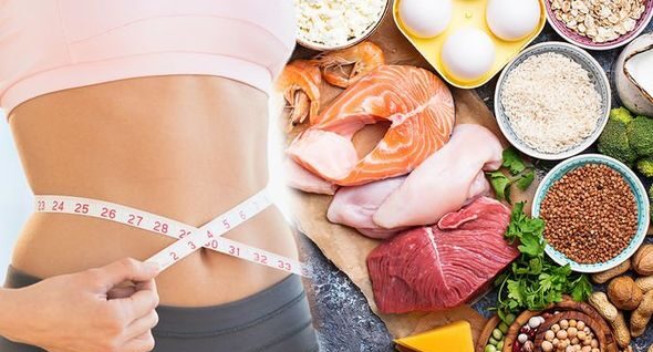 High Protein Low Fat Diet Plan
